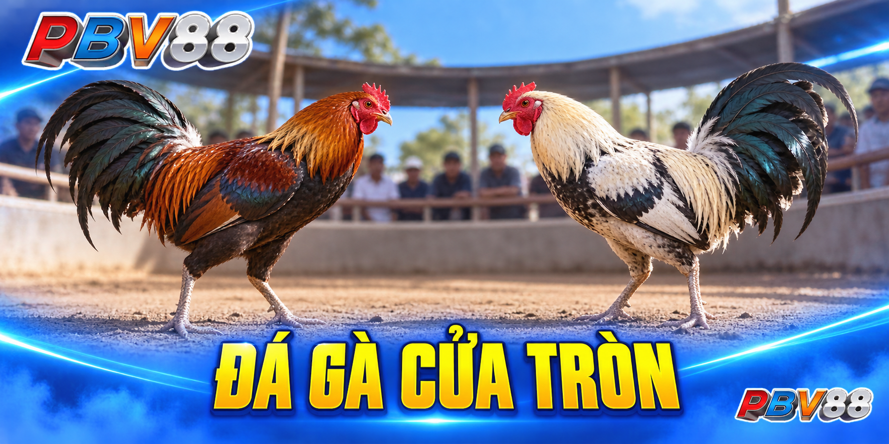 Banner PBV88 về sân gà cửa tròn